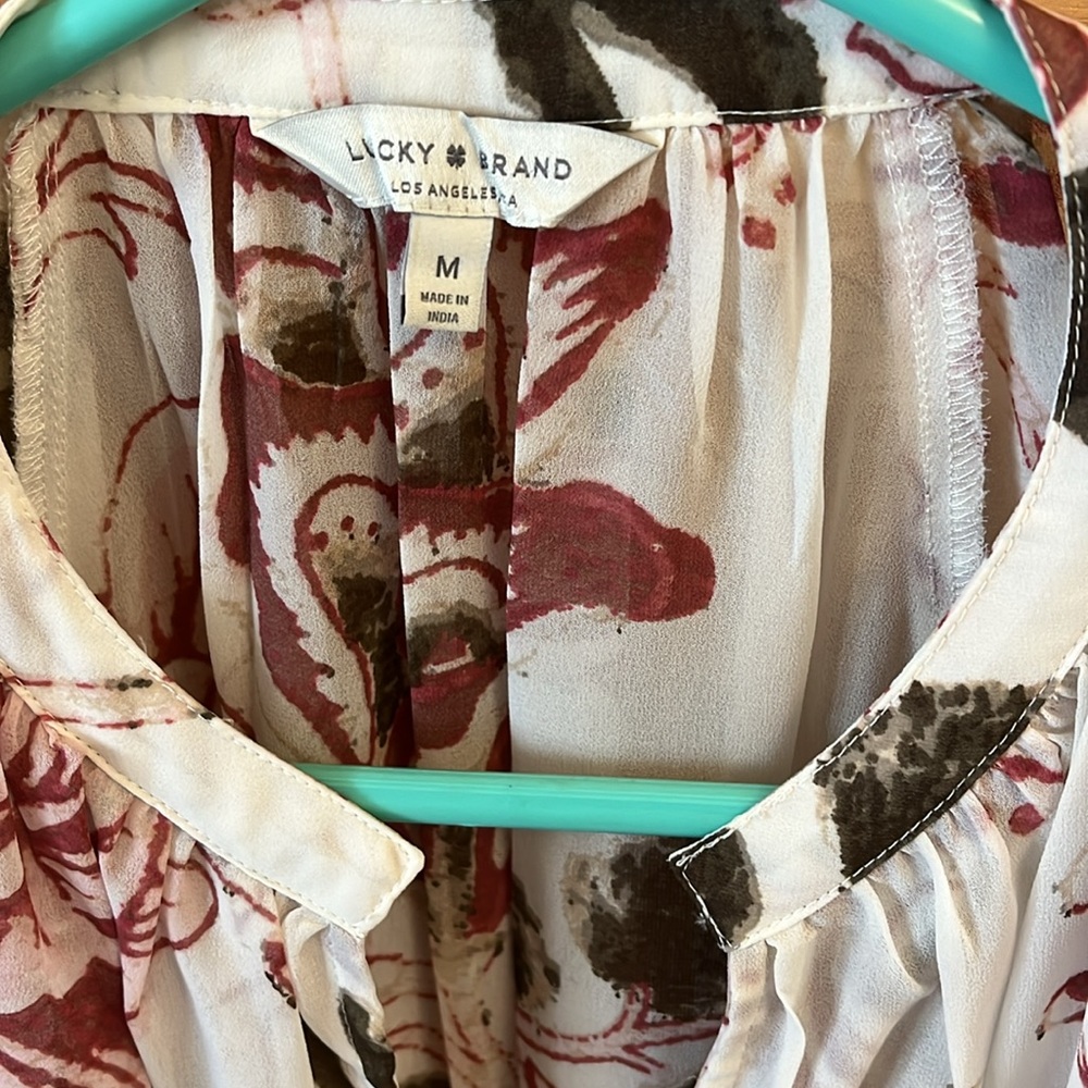 Sheer Blouse - image 2